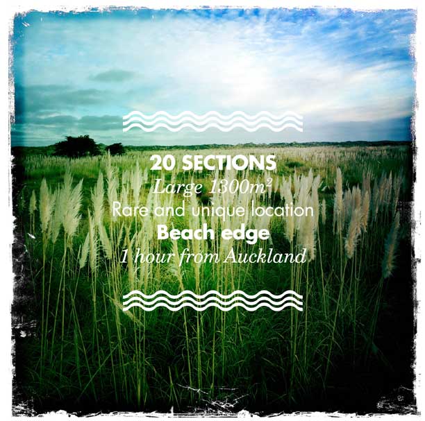 20 sections